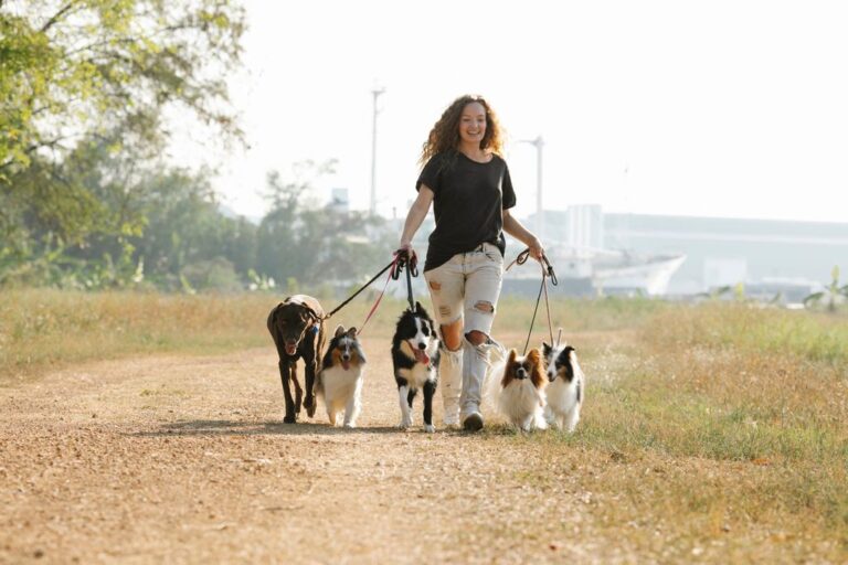 Find a Good Dog Walker or Sitter on Short Notice