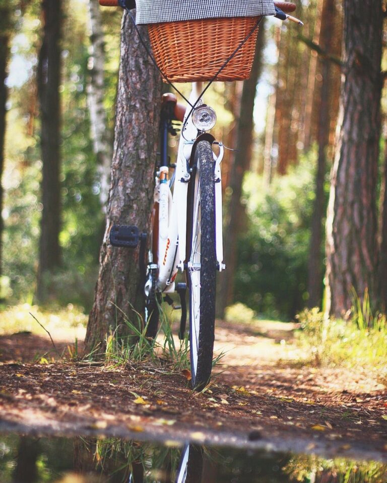 Bikejoring or Hiking with Your Dog: The Ultimate Adventure