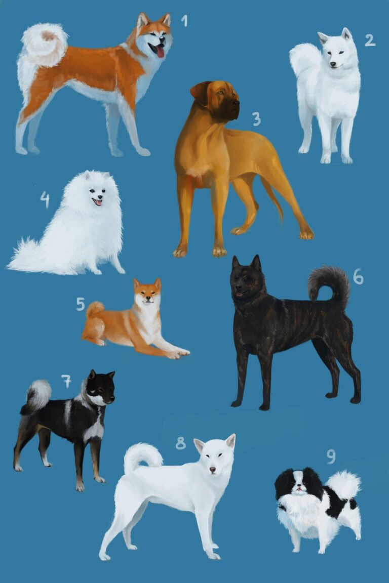 Researching Specific Dog Breeds: A Comprehensive Guide