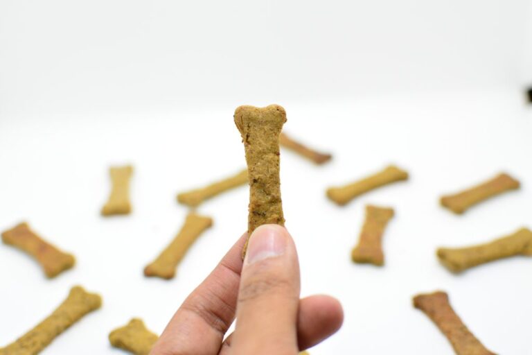 Make your own dog treats or toys?